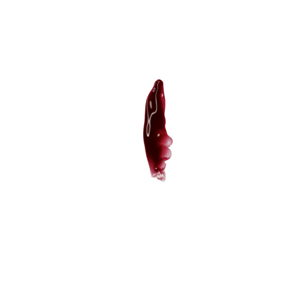 Lip Gloss 29